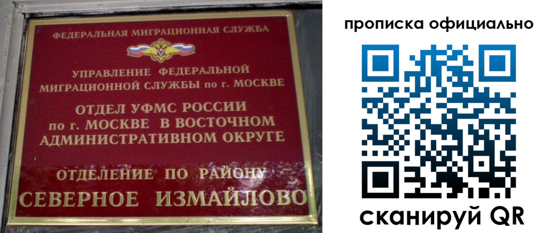 найти адрес прописки в Ельне